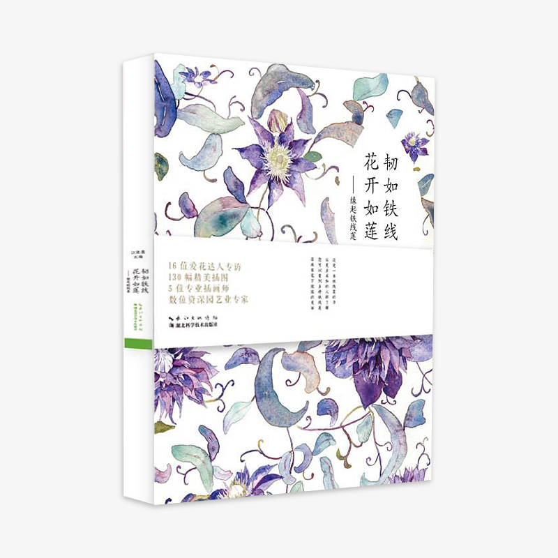 《韧如铁线，花开如莲》
